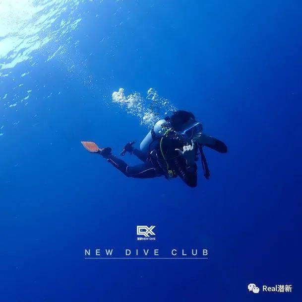 冒险家工会